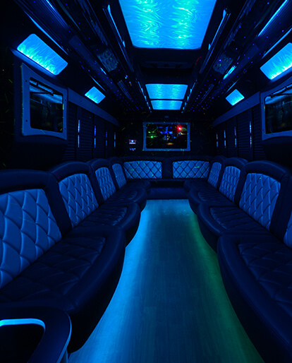 top bus transportation